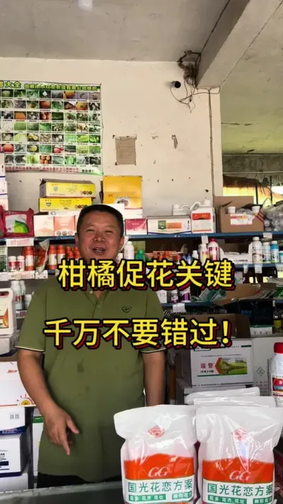 柑橘促花关键节点！不要错过哦#三农 #农药 #三农种植 #柑橘种植