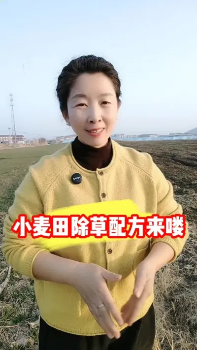 小麦田除草配方来喽 #小麦种植 #小麦田除草剂 #小麦种植管理技术 #农资肥料 #吴平农资