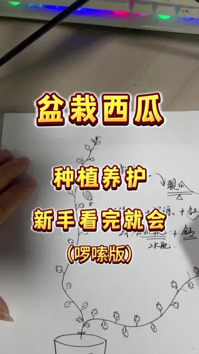 灵魂画师之&mdash;&mdash;盆栽大西瓜的简单玩法。 #楼顶果园 #盆栽西瓜 #三农 #内容启发搜索 #西瓜
