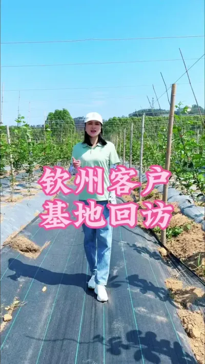广西钦州客户基地回访！#乡村守护人 #新农人计划 #服务三农支持三农 #百香果 #抖音助力三农 @抖音小助手 @DOU+小助手
