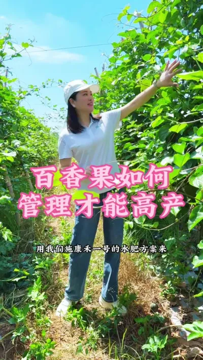 百香果如何管理才能高产！#乡村守护人 #我的乡村生活 #抖音新农人 #抖音助农 #百香果@抖音小助手 @DOU+小助手