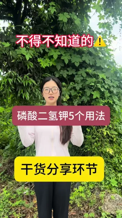 总结一下磷酸二氢钾的五个用法！还有其他用法欢迎评论区留言探讨！#知识分享 #三农助农 #涨知识 #种植技术 #果树