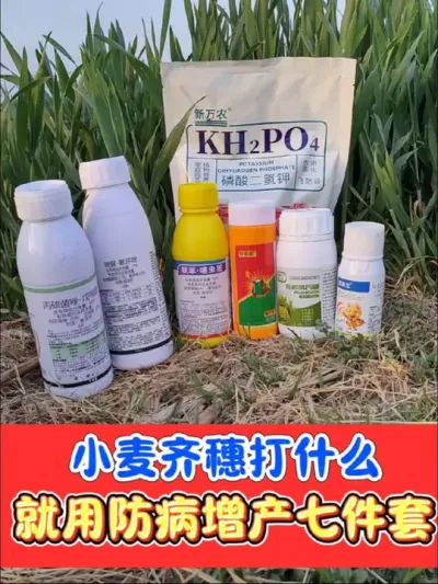 小麦齐穗初花期就用这个七件套 防病增产杀虫有奇效，大小包装规格齐全，厂价直销#农资肥料 #三农种植 #小麦 #病虫害防治 #小麦种植