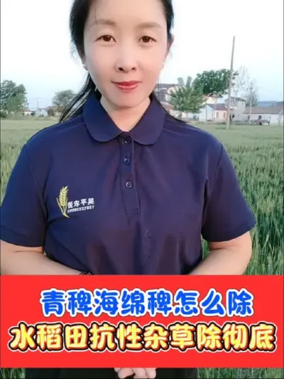 水稻田抗性稗草马唐千金子除草方案分享 水稻田抗性难打的大青稗，海绵稗，千金子，牛筋草的解决方案#水稻 #水稻除草 #水稻种植 #除草剂 #农资肥料