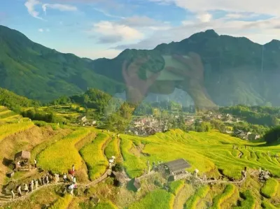 门票基础 厕所就不基础#云和梯田