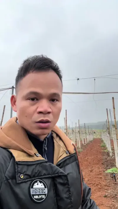 燕窝果套种黄金百香果，两个品种价值都很高，看能不能擦出火花！#种百香果 #农业技术推广