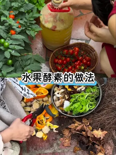 吃剩的果皮垃圾做成水果酵素用来种菜养花真是嘎嘎长啊！#种菜 #种植小技巧 #果皮酵素 #阳台种植 #有机肥