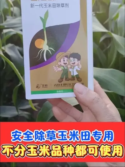 玉米田专用苗后除草剂，安全除草不伤苗 不分品种放心除草，玉米田苗后除草剂#玉米种植 #玉米除草剂 #玉米除草 #除草剂 #农资肥料