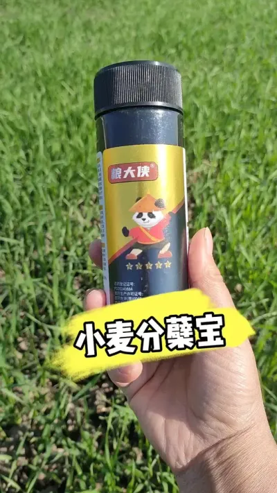 小麦生根分蘖宝一瓶十亩地 #小麦种植 #小麦种植管理技术 #小麦管理 #农资肥料 #农业种植