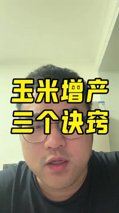 玉米增产的三个绝招 #玉米增产技术 #玉米种植技术 #玉米种植