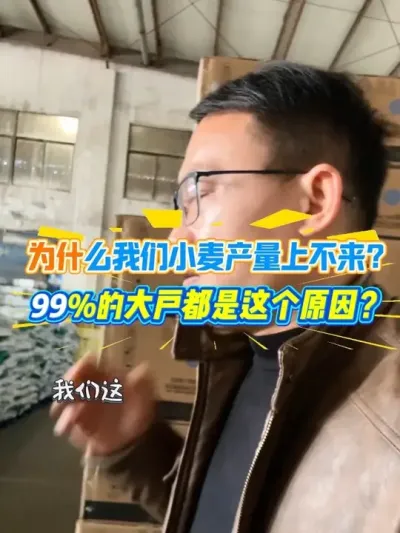 为什么我们小麦产量上不来？99%的大户都是这个原因？#小麦播种 #新农人计划 #抖音助农 #农资经销商 @新农人&mdash;MR周   @陈浩（射阳新农人合作社）
