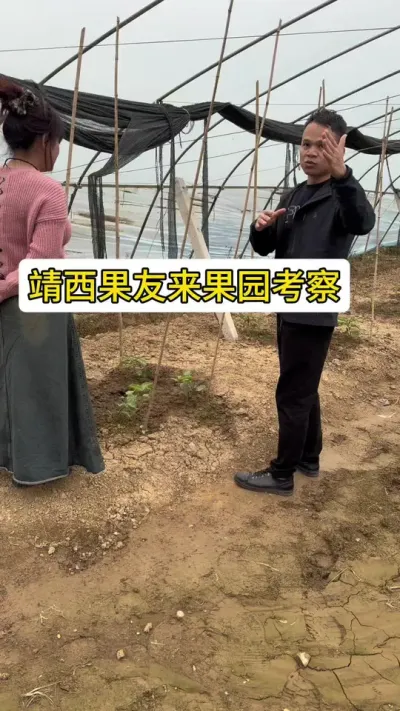 靖西果友来南宁果园基地参观考察，并且给她规划种植模式！#种百香果教程 #农业植保知识分享 #三农服务 #黄金百香果 #关注我每天分享农业植保知识