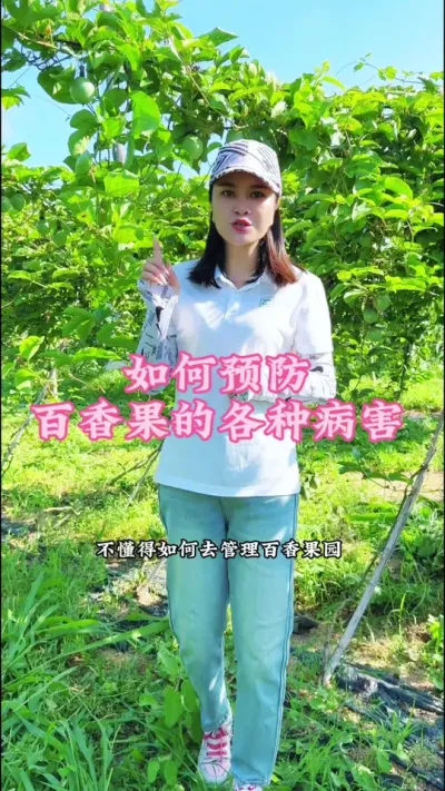 如何解决百香果的病虫害！#乡村守护人 #抖音新农人 #助力三农 #我的乡村生活 #百香果 @抖音小助手 @DOU+小助手