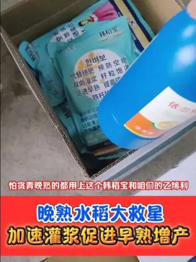 水稻催早熟增产量 针对晚熟水稻，倒伏水稻灌浆慢，一套十亩地，促进水稻灌浆快，早成熟，水分低#水稻种植 #水稻 #乙烯利 #农资肥料 #农业种植