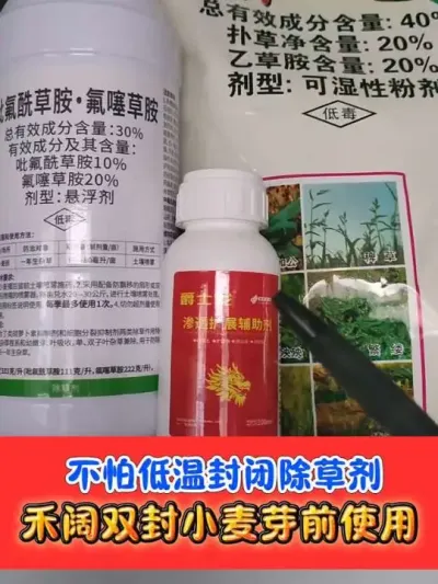 不怕低温的小麦田芽前封闭天花板 #小麦种植 #小麦封闭除草剂 #农资肥料