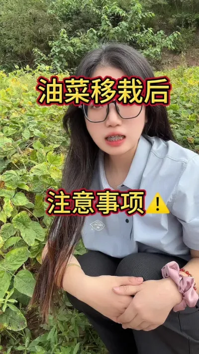 #干货都在这 #油菜种植 前茬种植大豆红薯的老师们注意啦！一定要注意虫害的防治哦！