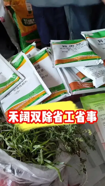 气温回升抓紧在小麦拔节前除草 #小麦种植 #小麦除草剂 #小麦除草 #农资肥料 #吴平农资