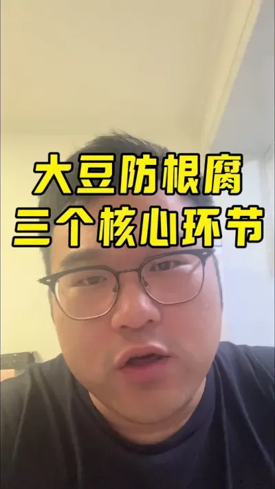 预防大豆根腐病的三个关键环节 #大豆种植技术 #大豆根腐病