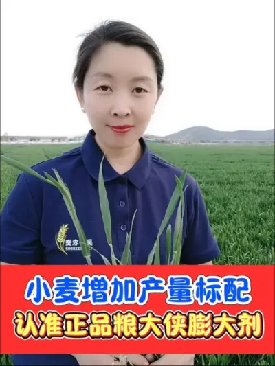 小麦增产膨大剂认准粮大侠 一亩不到2块钱的小麦增产膨大剂热卖三年，是大家的增产必备，厂家活动，买一赠一，抢吧#小麦 #小麦种植 #农资肥料 #农资人 #小麦高产技术