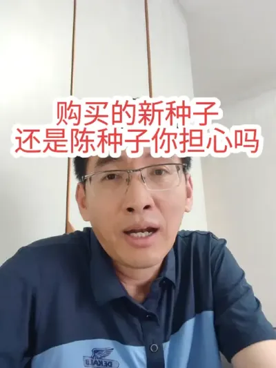 #陈种子 #来抖音学农技 #农技知识分享 新种子和陈种子，表面无法区分，保存得当，四项指标合格，陈种子也没有问题。