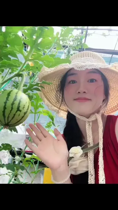 下班后的秘密基地🍅50平露台居然实现了瓜果自由！#阳台种植 #记录生活 #露台小菜园 #纯天然绿色蔬菜 #种植小技巧