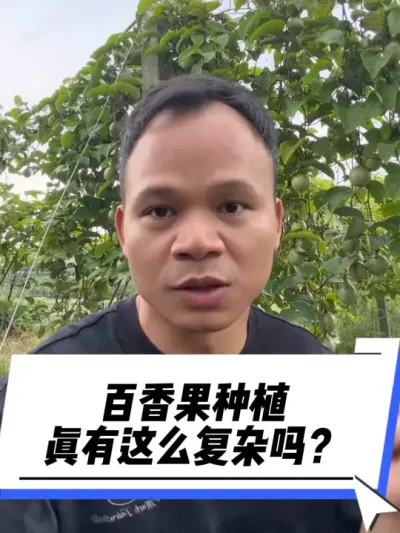 种百香果，真的没必要搞得这么复杂吗？#百香种植#三农种植#百香果种植技术