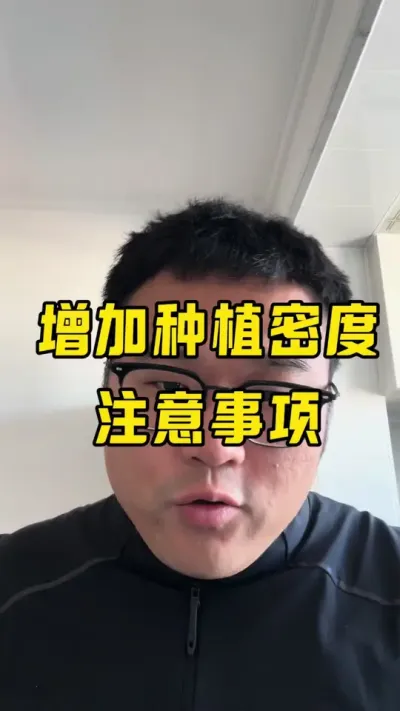 增加种植密度需要注意哪些问题 增加密度注意：1，增施化肥。2，打两遍杀菌剂。3，化控#知识科普 #干货分享 #创作人计划