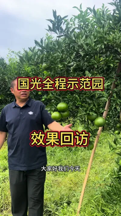 走进国光全程示范园！#柑橘