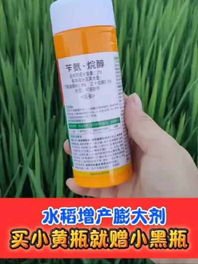 正品水稻膨大剂买一赠一 穗大粒饱产量高，一瓶十亩地，买一赠一真划算#膨大剂 #水稻种植 #水稻增产 #农资肥料 #农业种植