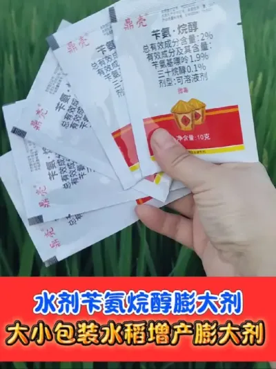 水稻增产膨大剂可溶液剂批发价 膨大籽粒饱满产量高#苄氨烷醇 #膨大剂 #农资肥料 #水稻种植 #农业种植