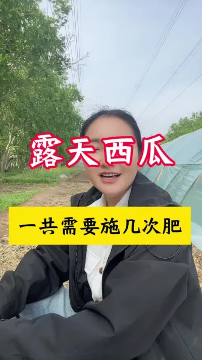 #西瓜种植#种西瓜#西瓜种植技术#西瓜管理