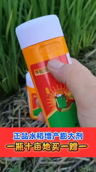 水稻增产膨大剂买一赠一 正品粮大侠苄氨烷醇膨大剂，水稻小麦专用增产膨大剂，一瓶十亩地，买一赠一#水稻种植 #水稻 #苄氨烷醇 #农资肥料 #农业种植