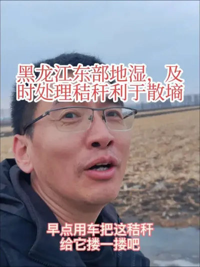 #田间地头走一走 #秸秆 #来抖音学农技  地湿秸秆影响散墒、升温，能进去地最好早点处理。