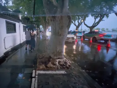 世事难两全 得失总相伴.#离人愁