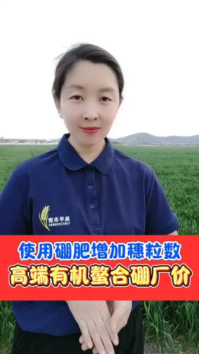 有机螯合硼，增加小麦籽粒数 吸收利用率高的有机螯合硼，少量多次补充能够提高小麦籽粒数，提高光合作用增加产量#农资肥料 #小麦 #三农种植 #小麦高产技术 #小麦种植