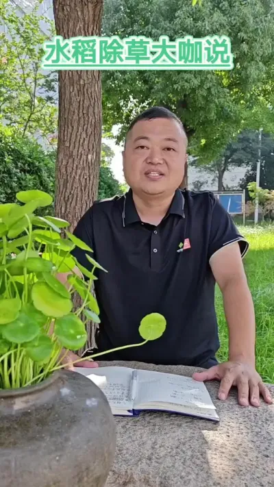 #水稻除草#除草剂注意事项#泗洪#冯顺