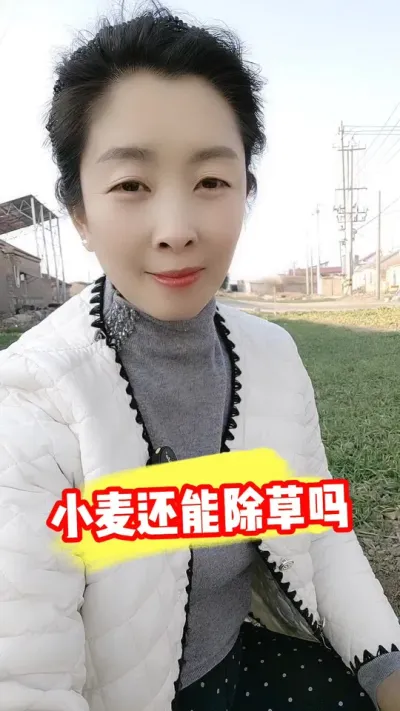 小麦低温谨慎使用除草剂 #小麦种植 #小麦 #小麦管理 #小麦除草剂 #农资肥料