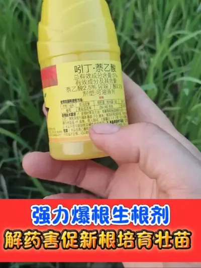 强力生根剂吲丁萘乙酸厂价直销 吲丁萘乙酸强力生根，大小包装规格齐全随机发货#生根剂 #生根 #吲丁萘乙酸 #农资肥料 #农业种植