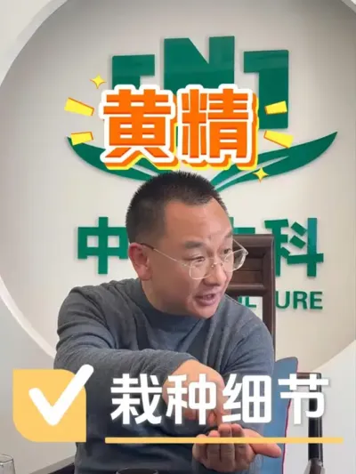 栽种黄精注意这些细节，预防倒苗弱苗！#黄精 #黄精种植 #种植小技巧 #农资肥料 #农资化肥