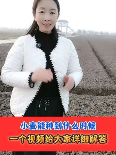 小麦最晚能种到什么时候 #小麦种植 #小麦 #农资肥料