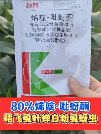 水稻田除稻飞虱叶蝉白粉虱速效加持效期长 一亩不到2块钱，搞定稻飞虱叶蝉白粉虱蚜虫可以飞防，可以喷施#农业种植 #农资肥料 #稻飞虱 #杀虫剂 #水稻病虫害