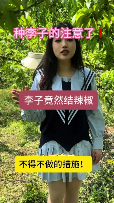 李子袋果病发生严重！危害极大！怎么办！明天下午直播间！告诉你答案！#李子#桃子#果树管理