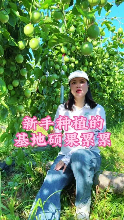 跟着我们的方案走，新手小白也能种植出硕果累累！#乡村守护人 #三农 #我的乡村生活 #新农人计划 #百香果@抖音小助手 @DOU+小助手