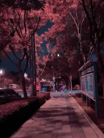 要是可以和你在这种氛围下手牵手散步就好了@