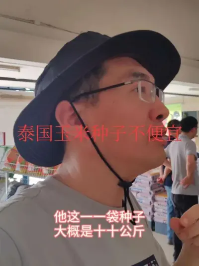 #迪卡玉米 #新农人 #抖音助农 泰国的玉米种子比国内便宜，但按购买力来说，不算便宜。