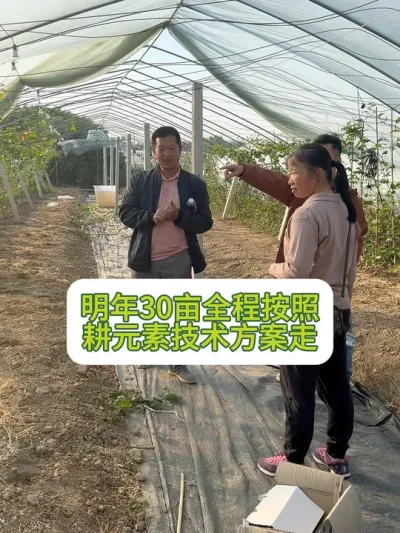 梧州果友驱车5小时过来考察果园#种百香果 #经验分享 #抖音助农 #果园管理 #新农人计划2024