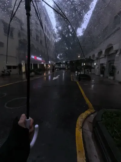 单身不可怕 晚婚不可怕 可怕的是你已经爱不上任何人