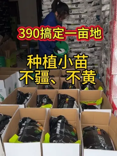 种植小苗不疆不黄390搞定一亩地#三农#农资#农业技术推广#农业法哥