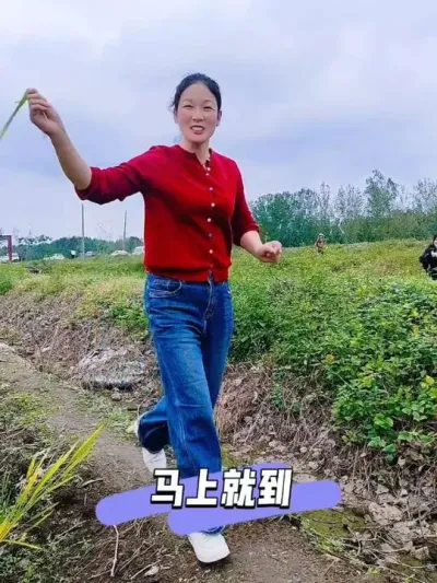 好品种跑着看，就为明年水稻高产做打算 #水稻种植 #水稻