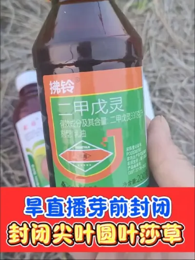 旱直播水稻芽前封闭天花板 播种盖籽上水后，畦面无水，出芽前及时喷施，旱直播水稻芽前封闭天花板，大剂量效果好#除草剂 #水稻高产技术 #水稻种植 #水稻封闭除草剂 #农资肥料